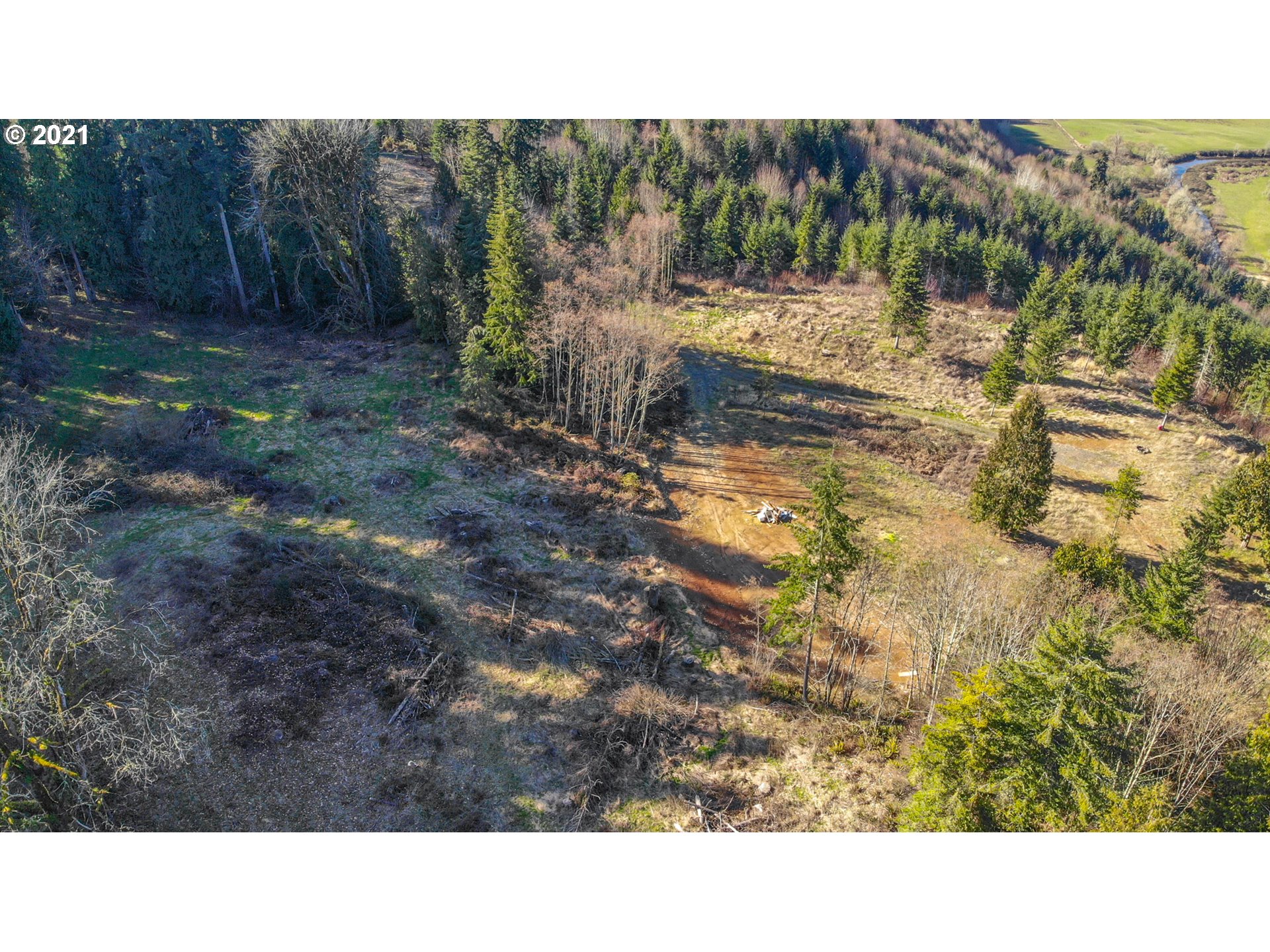 0 Wonderland Road Rainier, OR 97048 - Photo 14 of 17