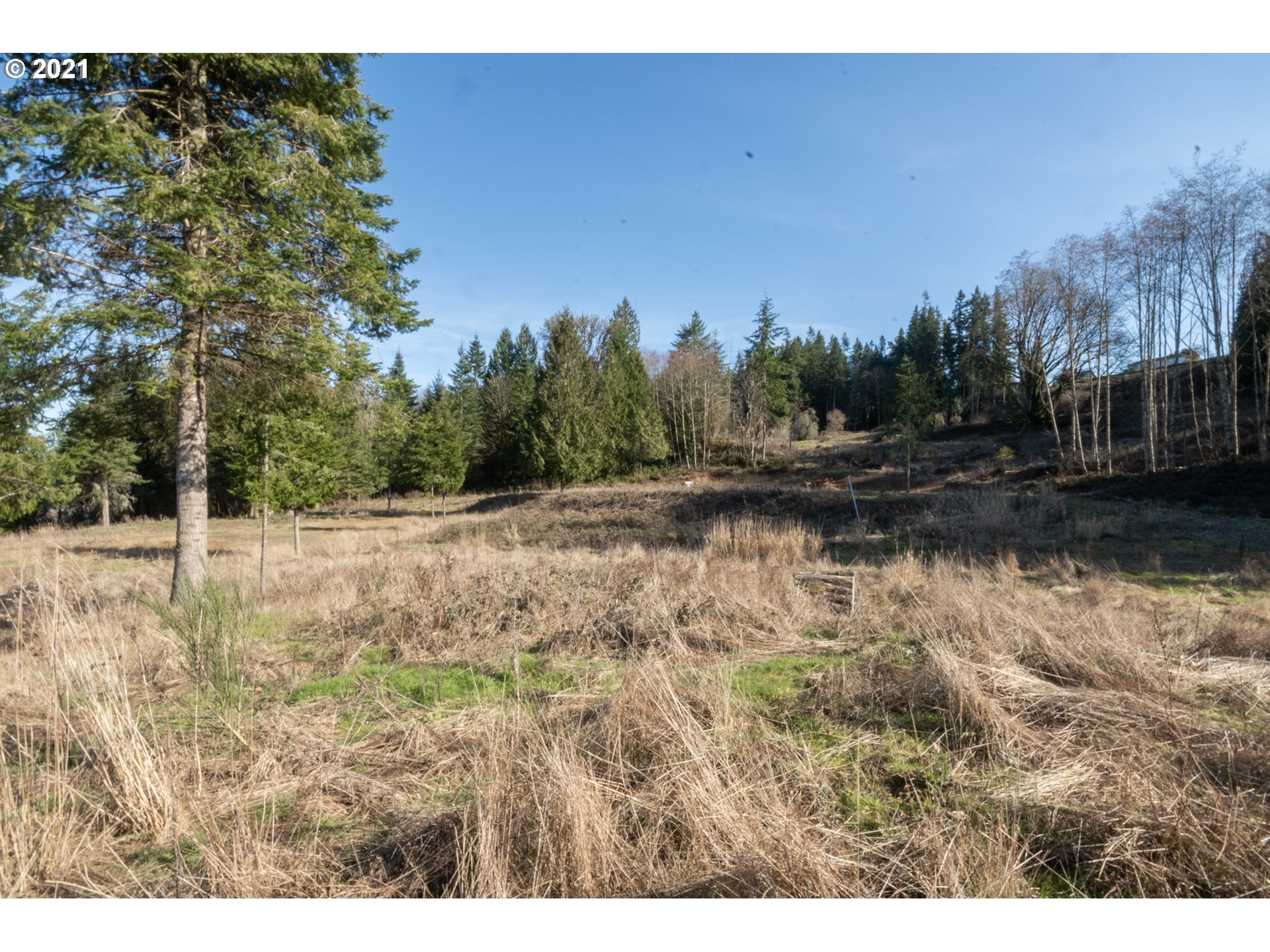 0 Wonderland Road Rainier, OR 97048 - Photo 4 of 17