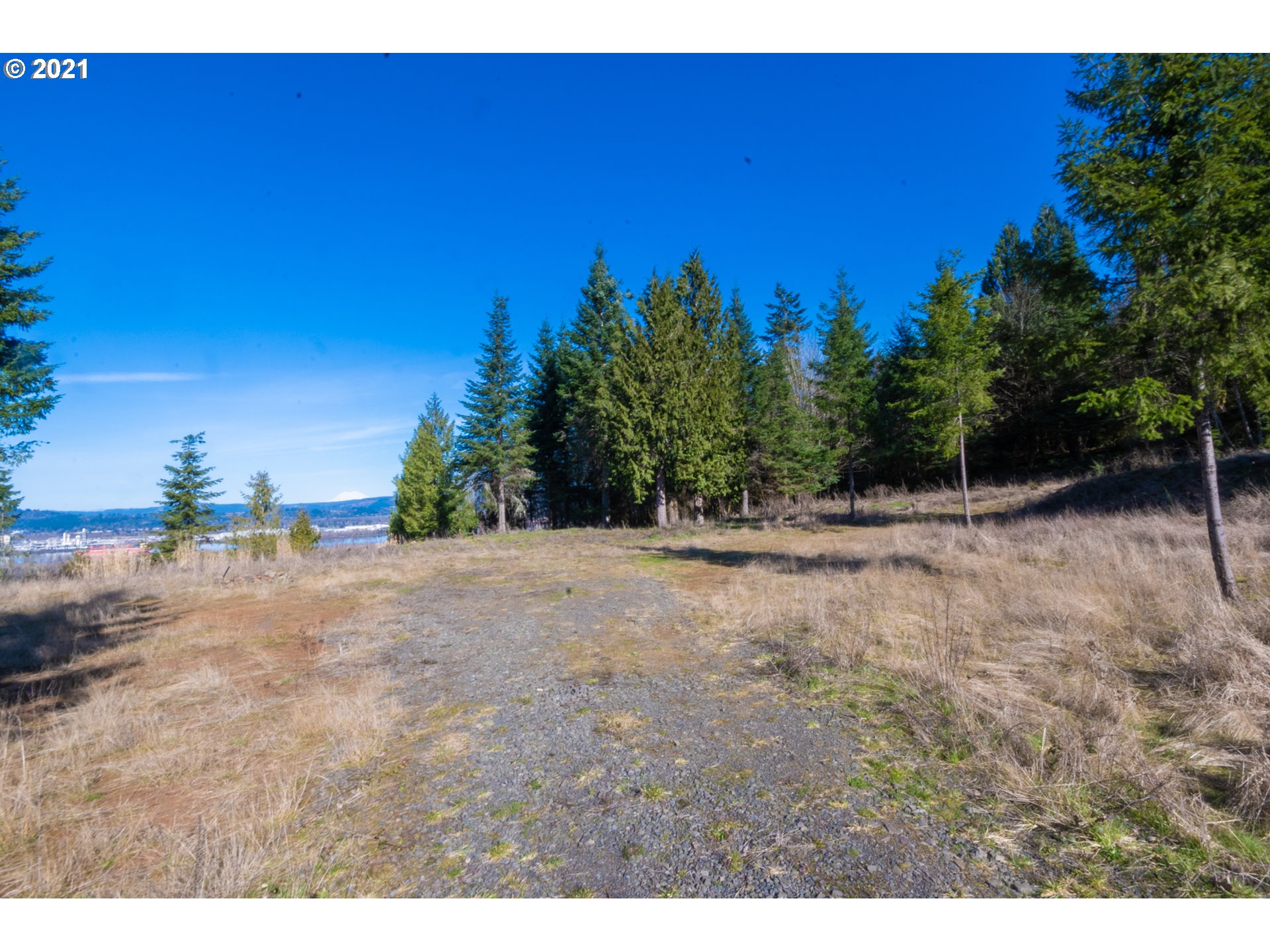 0 Wonderland Road Rainier, OR 97048 - Photo 5 of 17