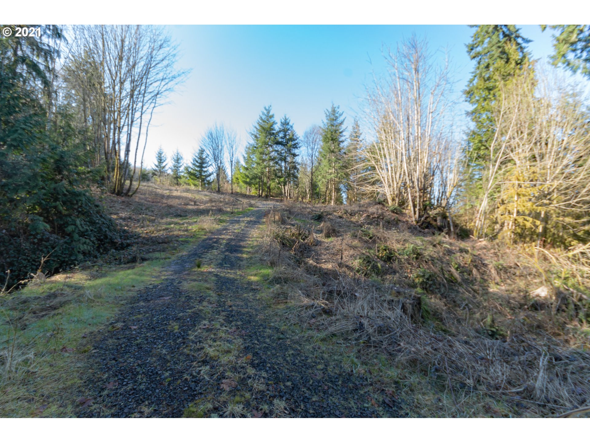 0 Wonderland Road Rainier, OR 97048 - Photo 8 of 17
