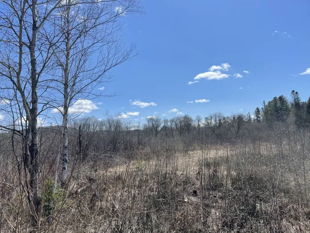 $29,000 | 0 Gilman Road, Lyndon Center, VT 05850