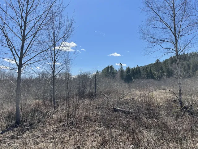 $29,000 | 0 Gilman Road, Lyndon Center, VT 05850