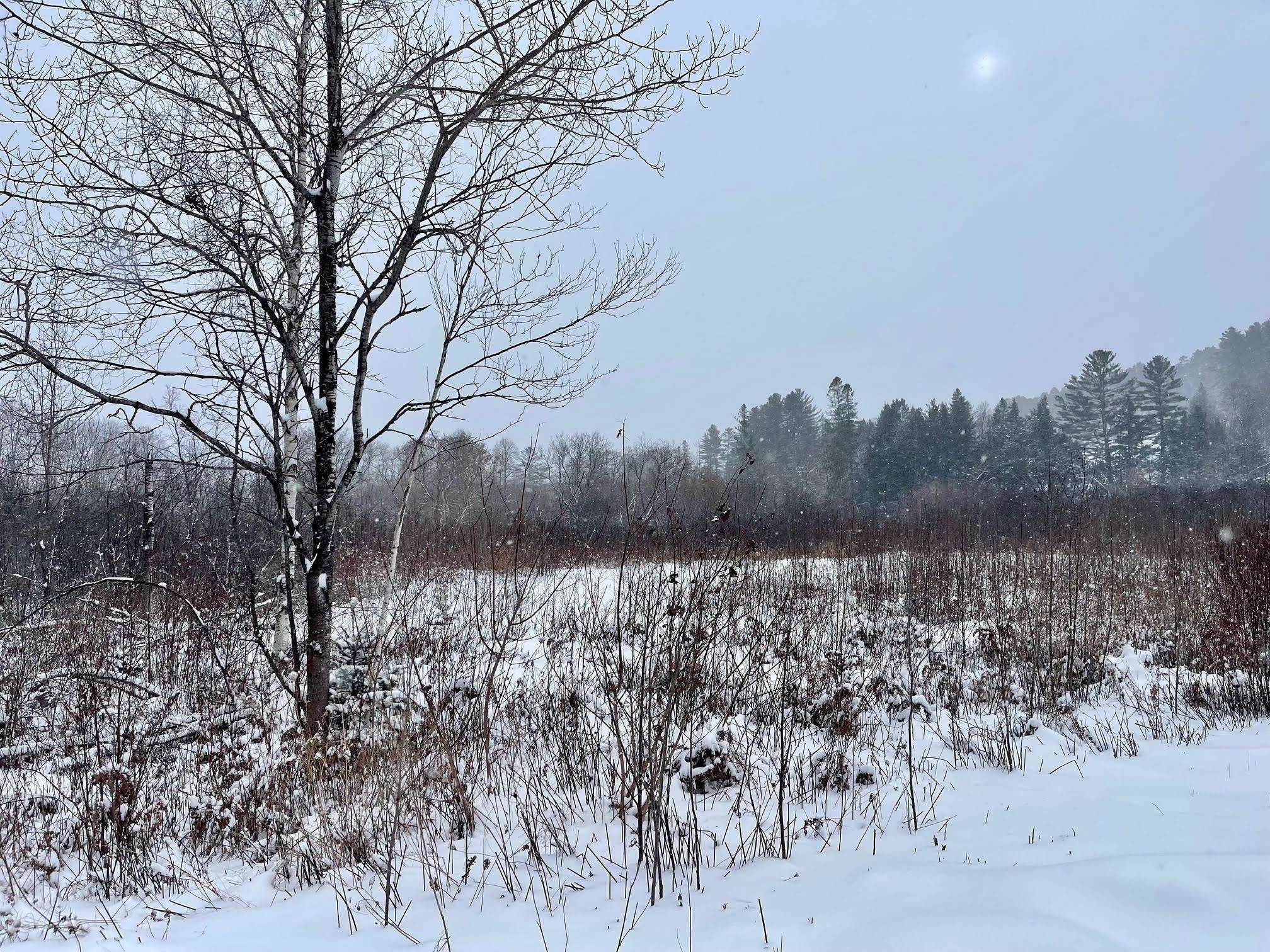 0 Gilman Road Lyndon Center, VT 05850 - Photo 4 of 4