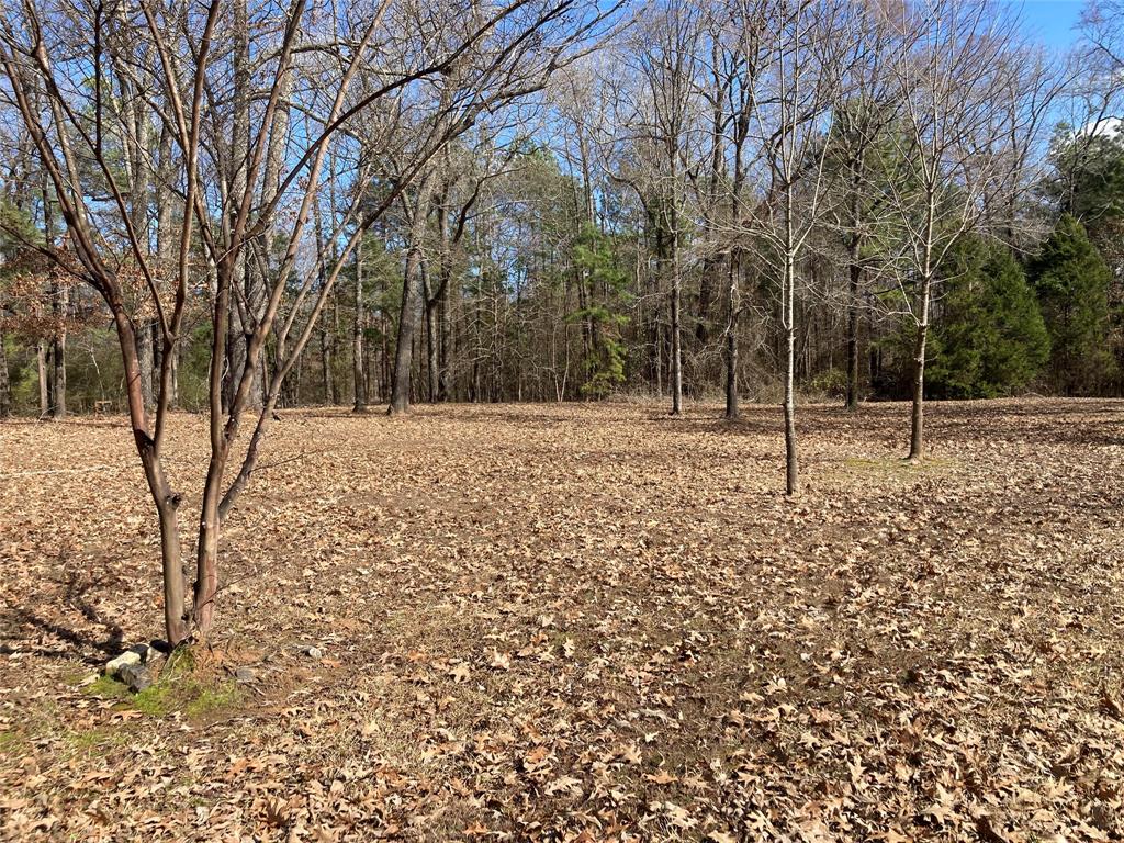 9515 Caddo Lake Road Mooringsport, LA 71060 - Photo 2 of 12 a view of empty room with trees