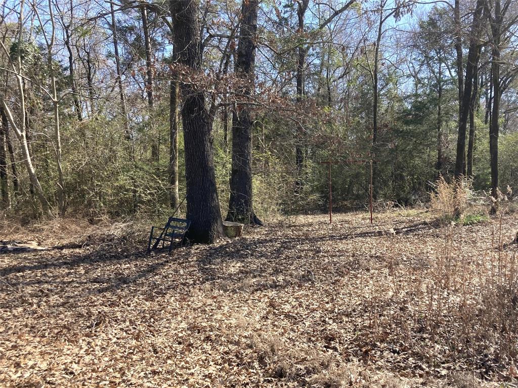 9515 Caddo Lake Road Mooringsport, LA 71060 - Photo 9 of 12 a view of a forest filled with trees