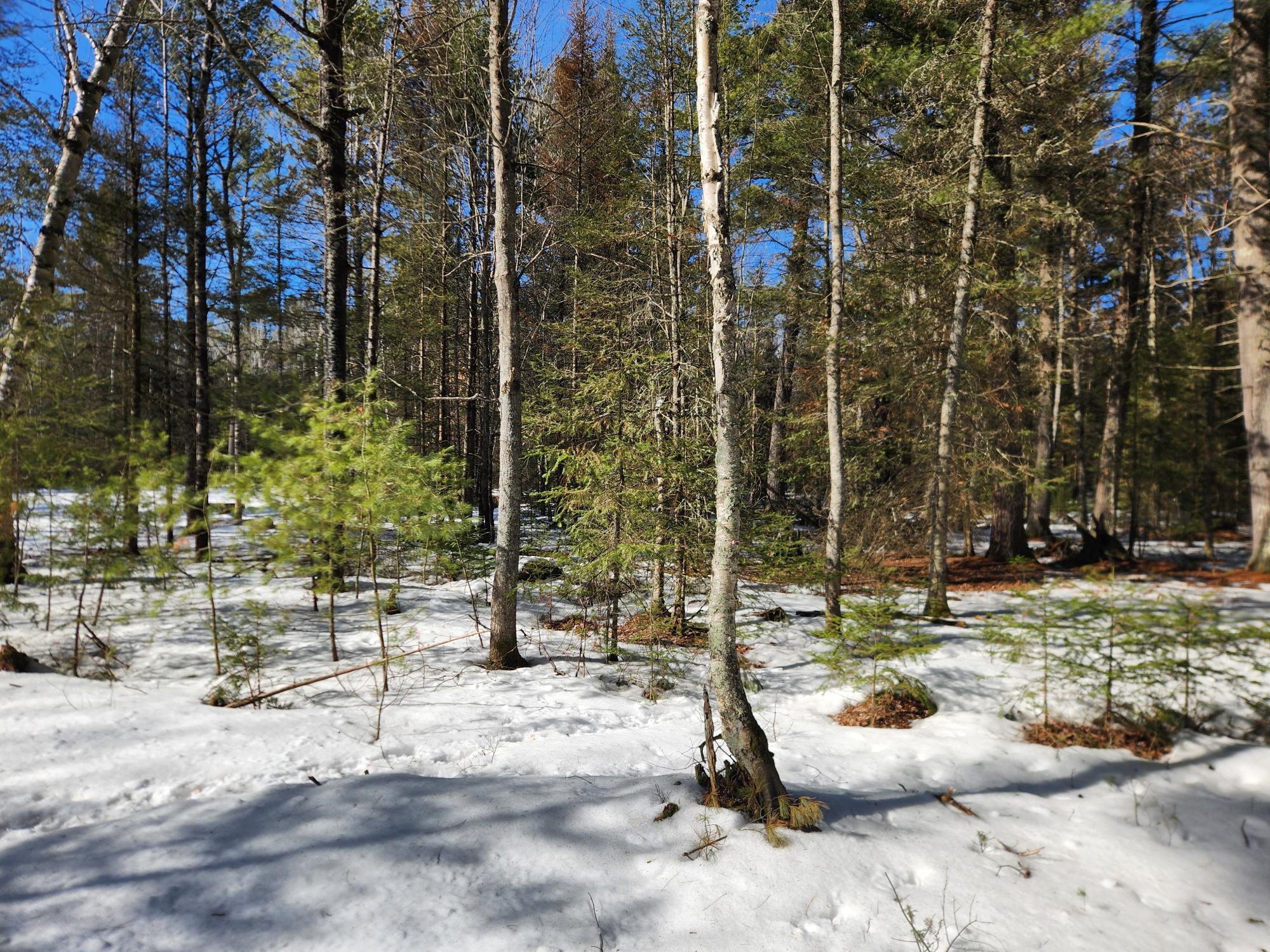13.58-ac Watersmeet Lake Road, Unit OFF Eagle River, WI 54521 - Photo 5 of 10 Gallery Image 5