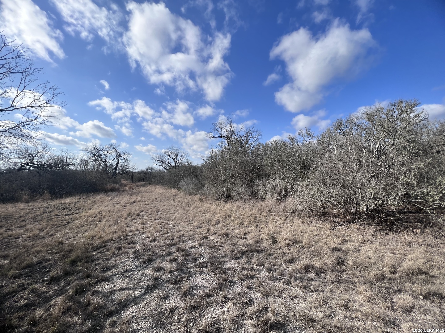 330 County Road 412 Three Rivers, TX 78071 - Photo 5 of 11