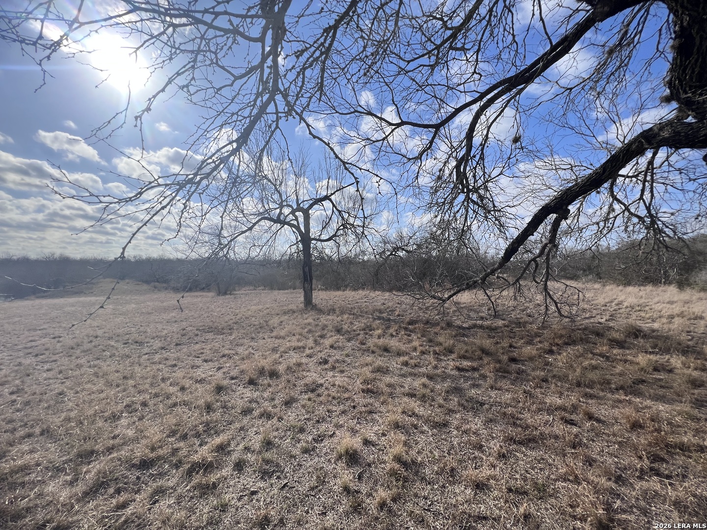 330 County Road 412 Three Rivers, TX 78071 - Photo 6 of 11