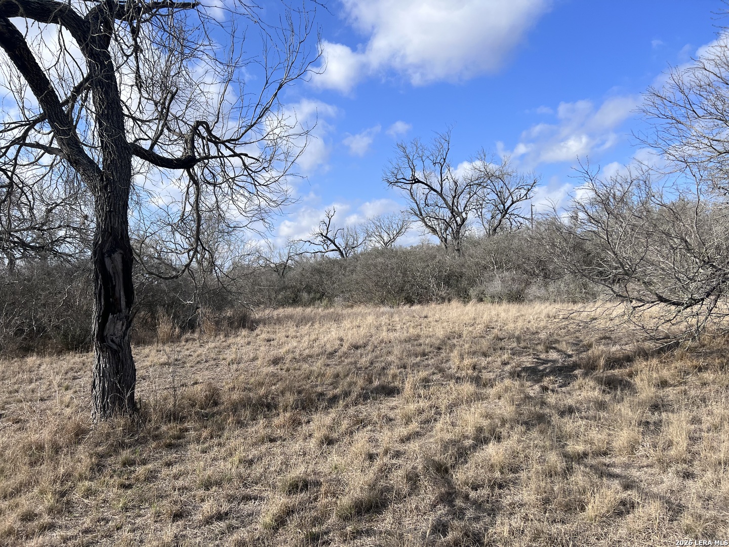 330 County Road 412 Three Rivers, TX 78071 - Photo 7 of 11