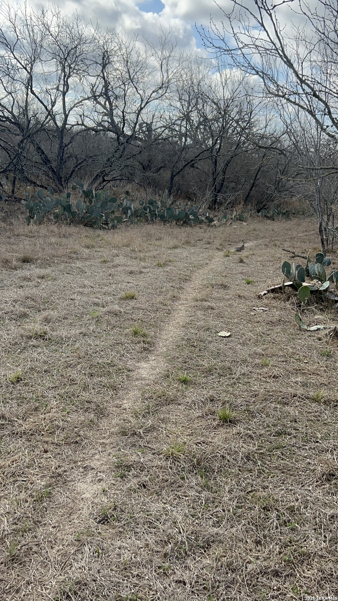 330 County Road 412 Three Rivers, TX 78071 - Photo 8 of 11