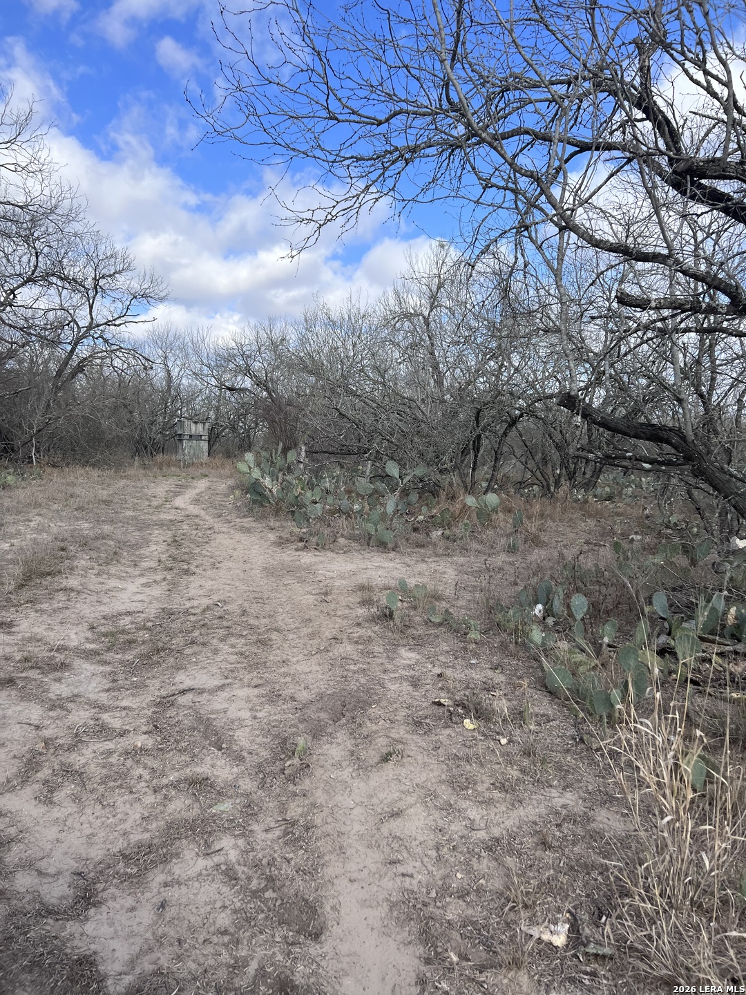 330 County Road 412 Three Rivers, TX 78071 - Photo 9 of 11