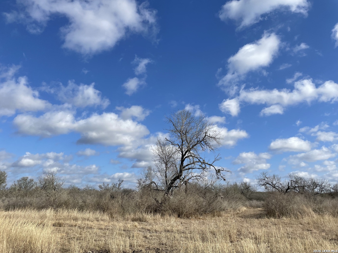 330 County Road 412 Three Rivers, TX 78071 - Photo 10 of 11