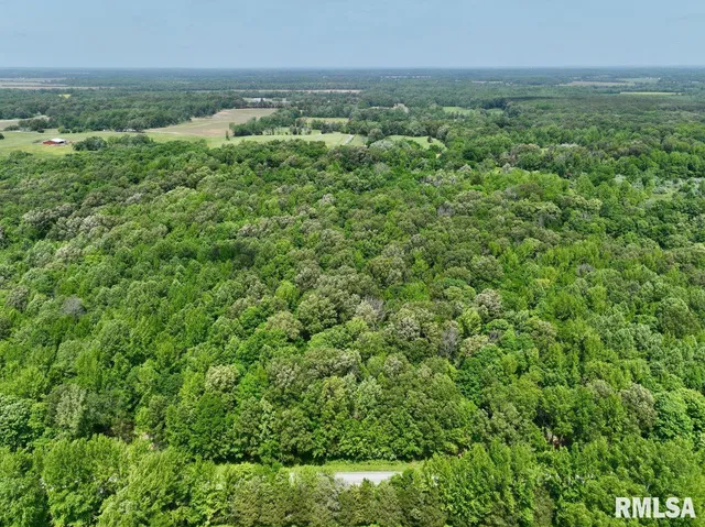 $41,875 | 1 Battleford Road, Stonefort, IL 62987