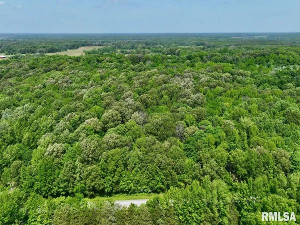 $97,310 | 1 Battleford Road, Stonefort, IL 62987