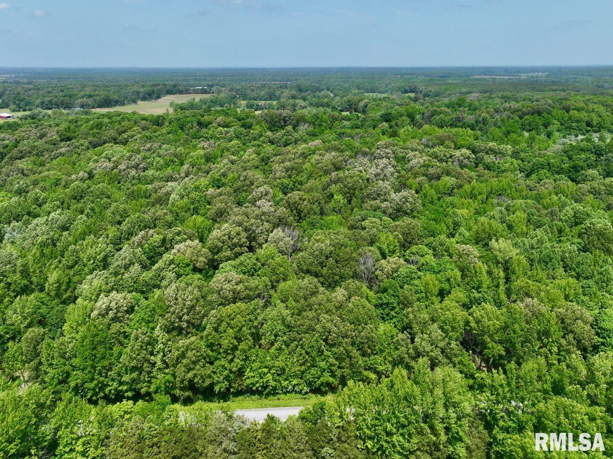 1 Battleford Road Stonefort, IL 62987 - Photo 11 of 20