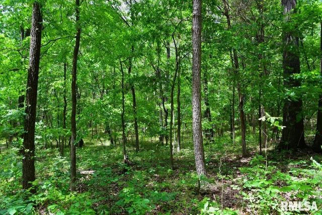 $41,875 | 1 Battleford Road, Stonefort, IL 62987