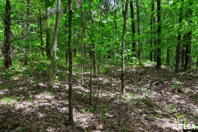 $41,875 | 1 Battleford Road, Stonefort, IL 62987