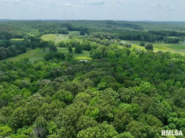 $41,875 | 1 Battleford Road, Stonefort, IL 62987