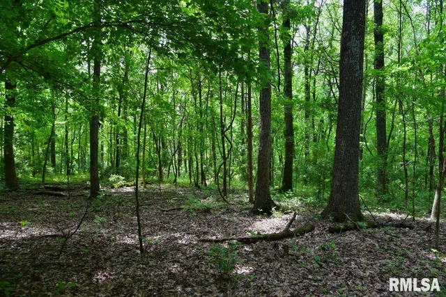 $41,875 | 1 Battleford Road, Stonefort, IL 62987