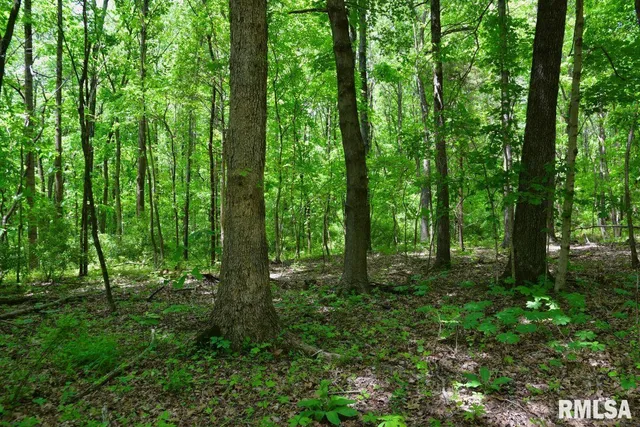 $41,875 | 1 Battleford Road, Stonefort, IL 62987