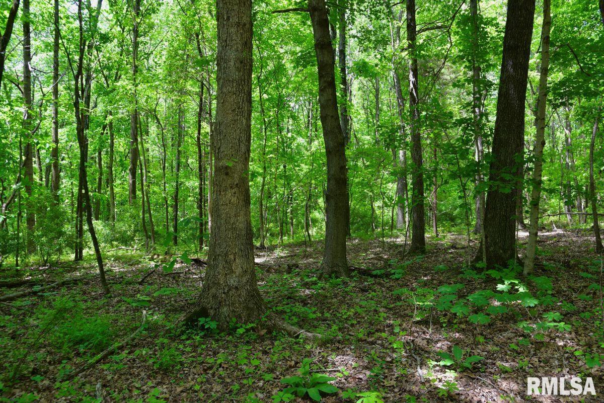 1 Battleford Road Stonefort, IL 62987 - Photo 16 of 20