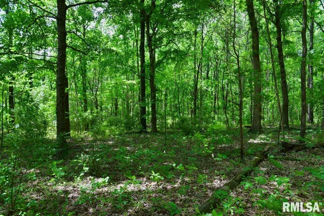 $41,875 | 1 Battleford Road, Stonefort, IL 62987