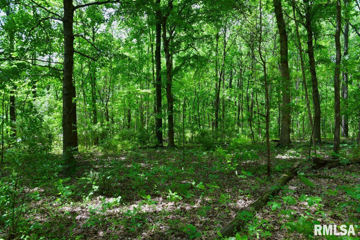 1 Battleford Road Stonefort, IL 62987 - Photo 17 of 20