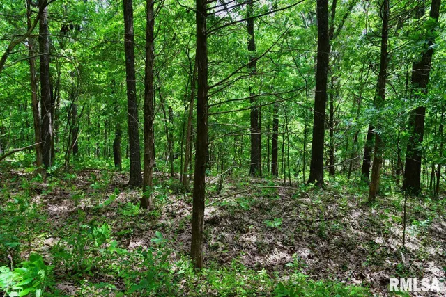 $41,875 | 1 Battleford Road, Stonefort, IL 62987