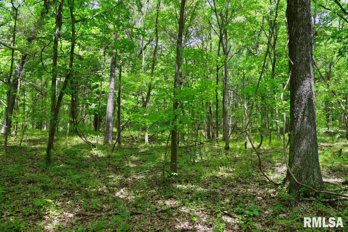 1 Battleford Road Stonefort, IL 62987 - Photo 19 of 20