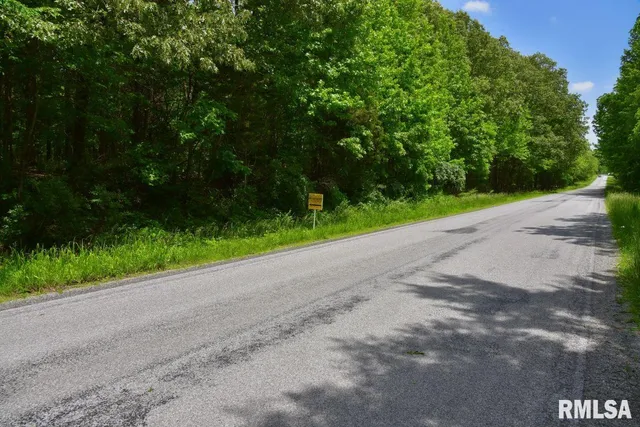 $41,875 | 1 Battleford Road, Stonefort, IL 62987