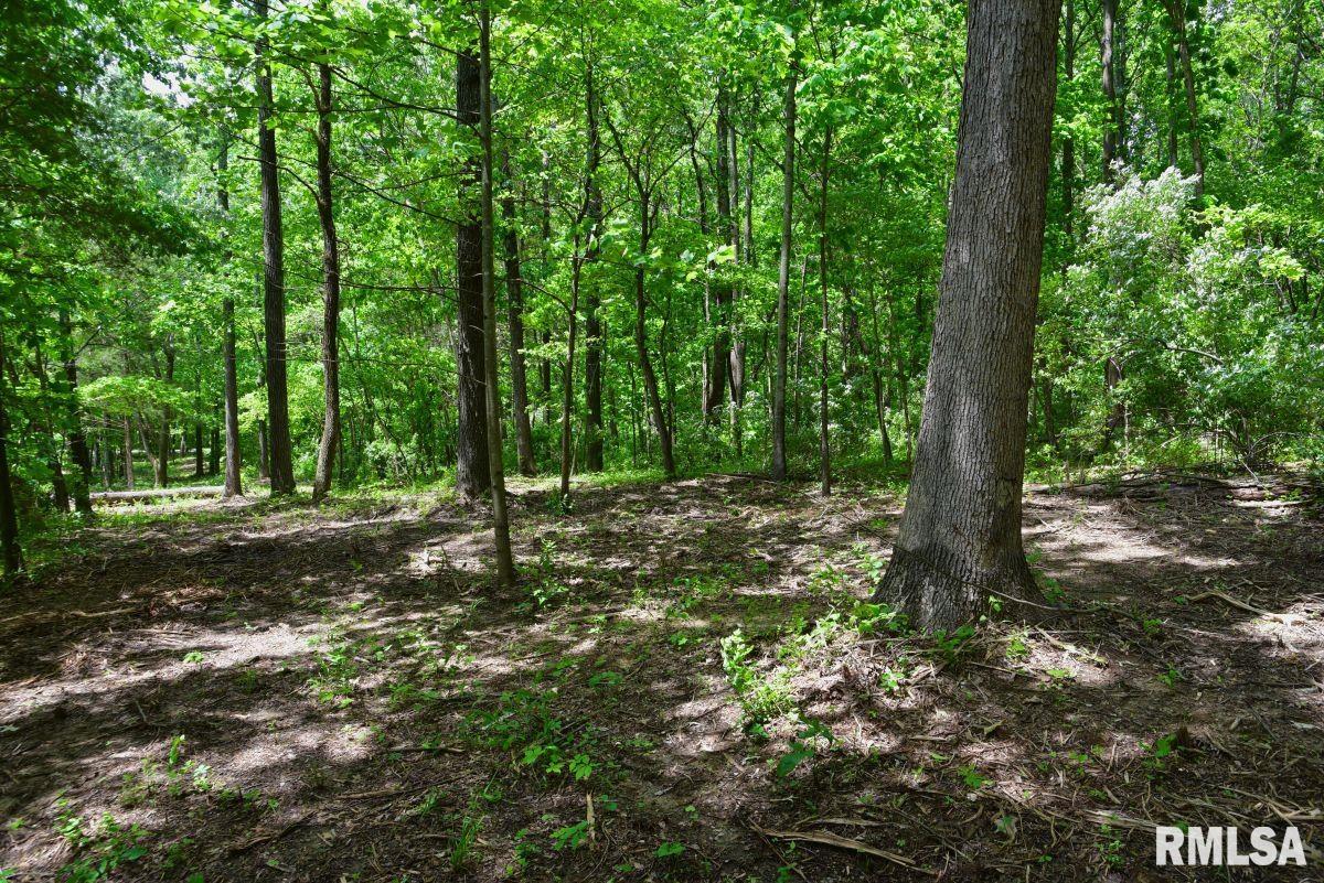 1 Battleford Road Stonefort, IL 62987 - Photo 4 of 20