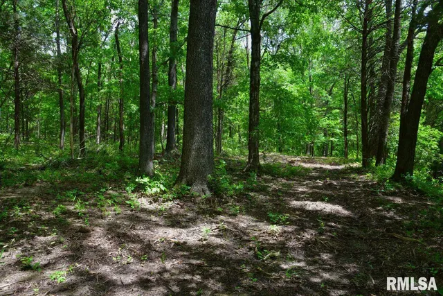 $41,875 | 1 Battleford Road, Stonefort, IL 62987