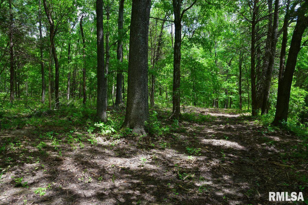 1 Battleford Road Stonefort, IL 62987 - Photo 5 of 20