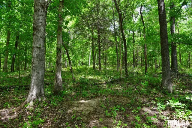 $41,875 | 1 Battleford Road, Stonefort, IL 62987