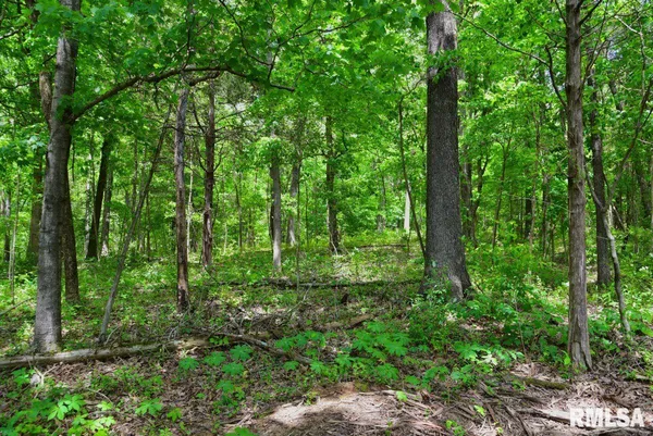 $97,310 | 1 Battleford Road, Stonefort, IL 62987