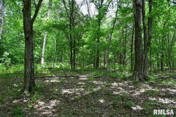 $97,310 | 1 Battleford Road, Stonefort, IL 62987