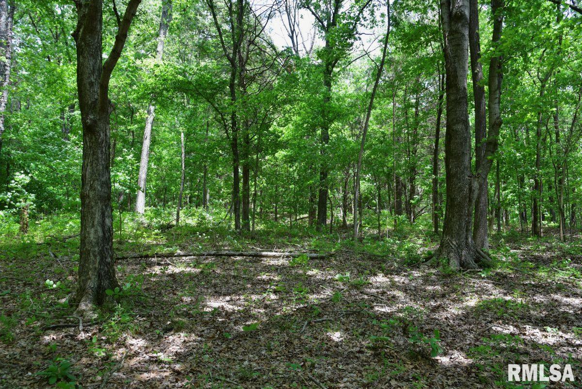 1 Battleford Road Stonefort, IL 62987 - Photo 8 of 20