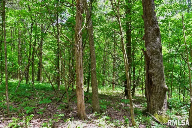 $41,875 | 1 Battleford Road, Stonefort, IL 62987