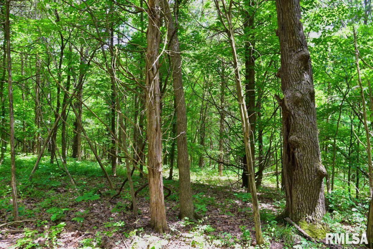 1 Battleford Road Stonefort, IL 62987 - Photo 9 of 20