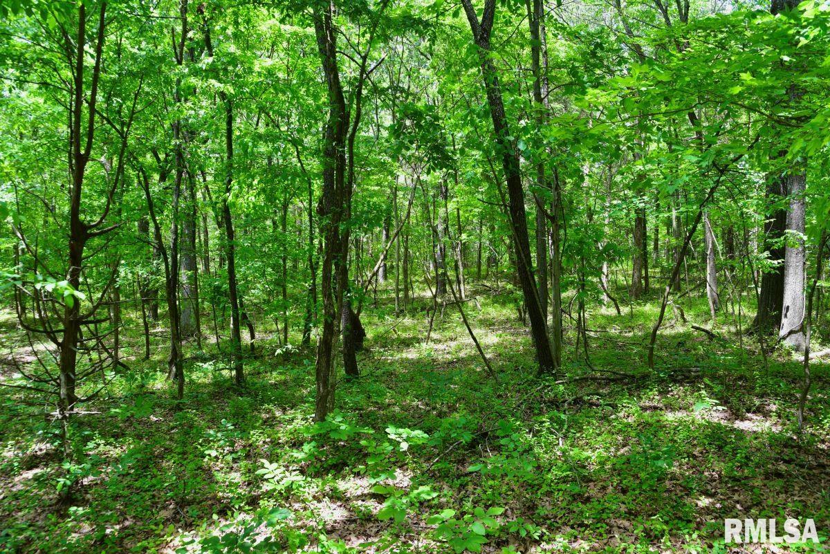 1 Battleford Road Stonefort, IL 62987 - Photo 10 of 20