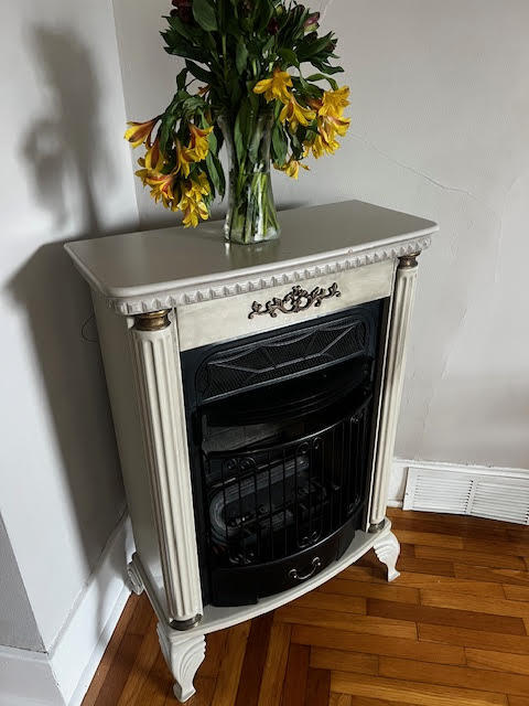 207 South Locust Street Wayland, MI 49348 - Photo 9 of 30 Cozy Stove