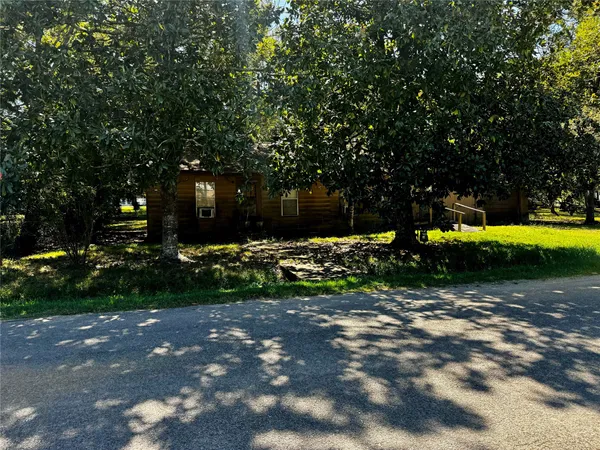 a view of a park with large trees