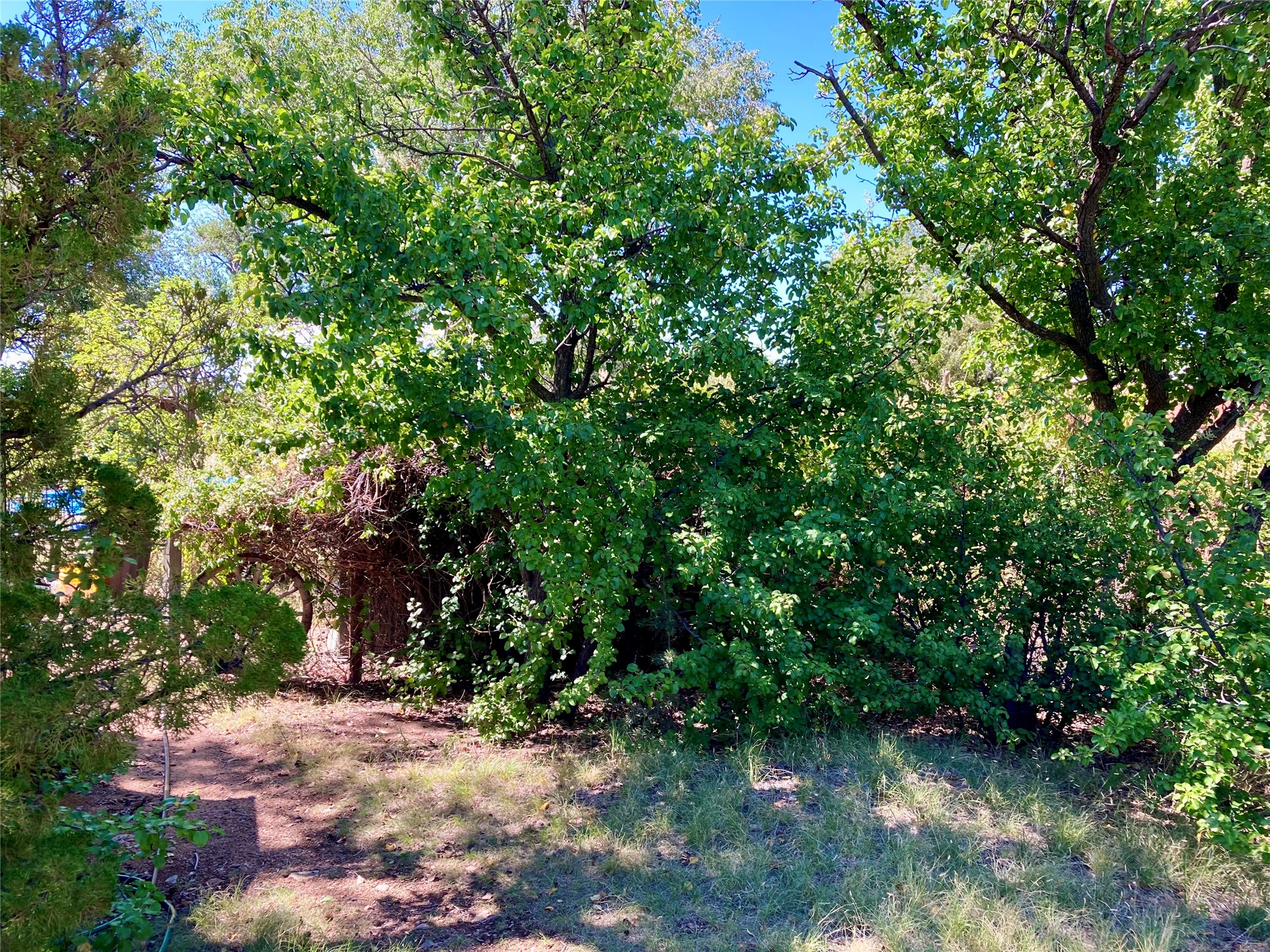 2175 Old Arroyo Chamiso Road, Unit 2 Santa Fe, NM 87505 - Photo 18 of 20