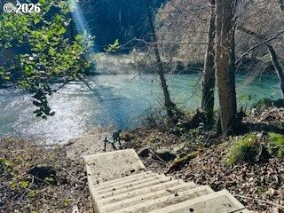 a view of a garden with a bench