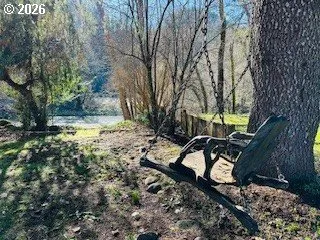 a view of a yard with plants and trees