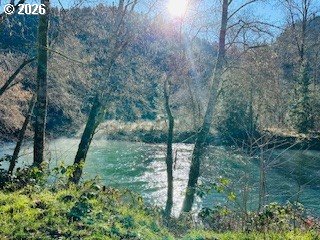 76248 Garden Road Oakridge, OR 97463 - Photo 8 of 35