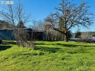 a view of backyard of house with green space