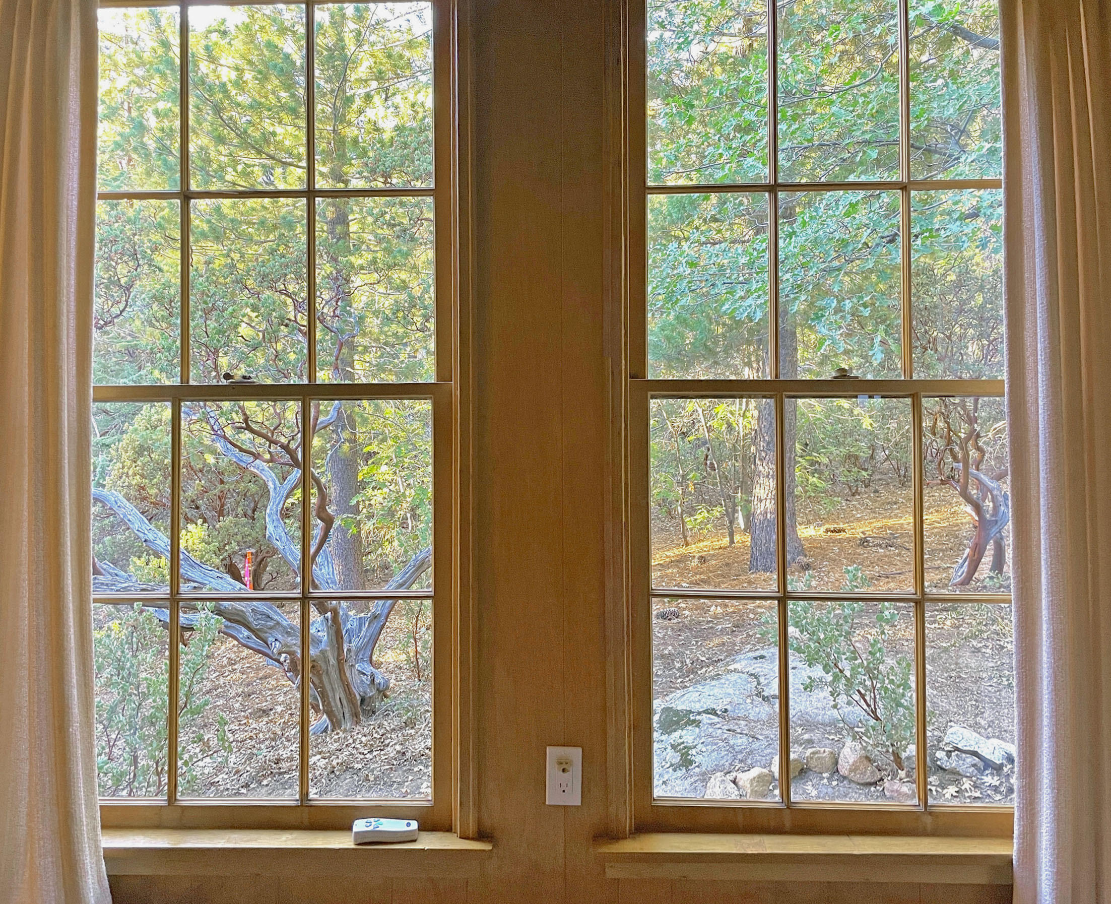 25465 Seneca Road Idyllwild, CA 92549 - Photo 15 of 38 a view of a room and window