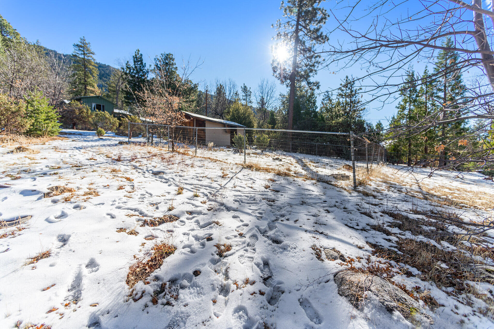 25465 Seneca Road Idyllwild, CA 92549 - Photo 35 of 38 a backyard of a house with lots of green space