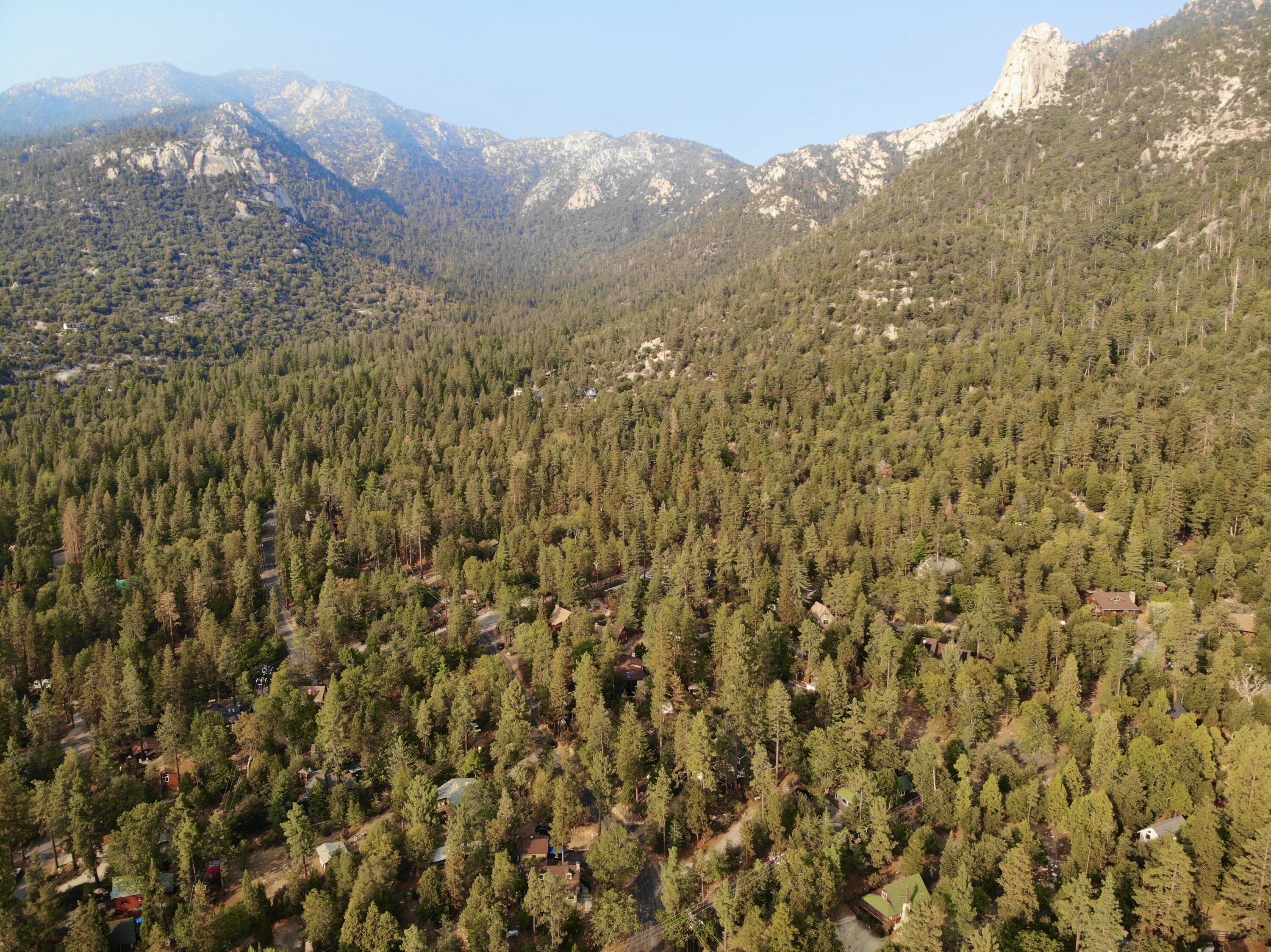 25465 Seneca Road Idyllwild, CA 92549 - Photo 38 of 38 a view of a dry yard with mountains in the background